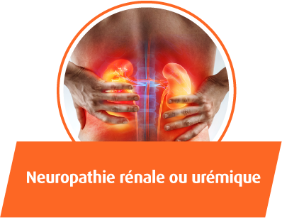 Neuropathie renale